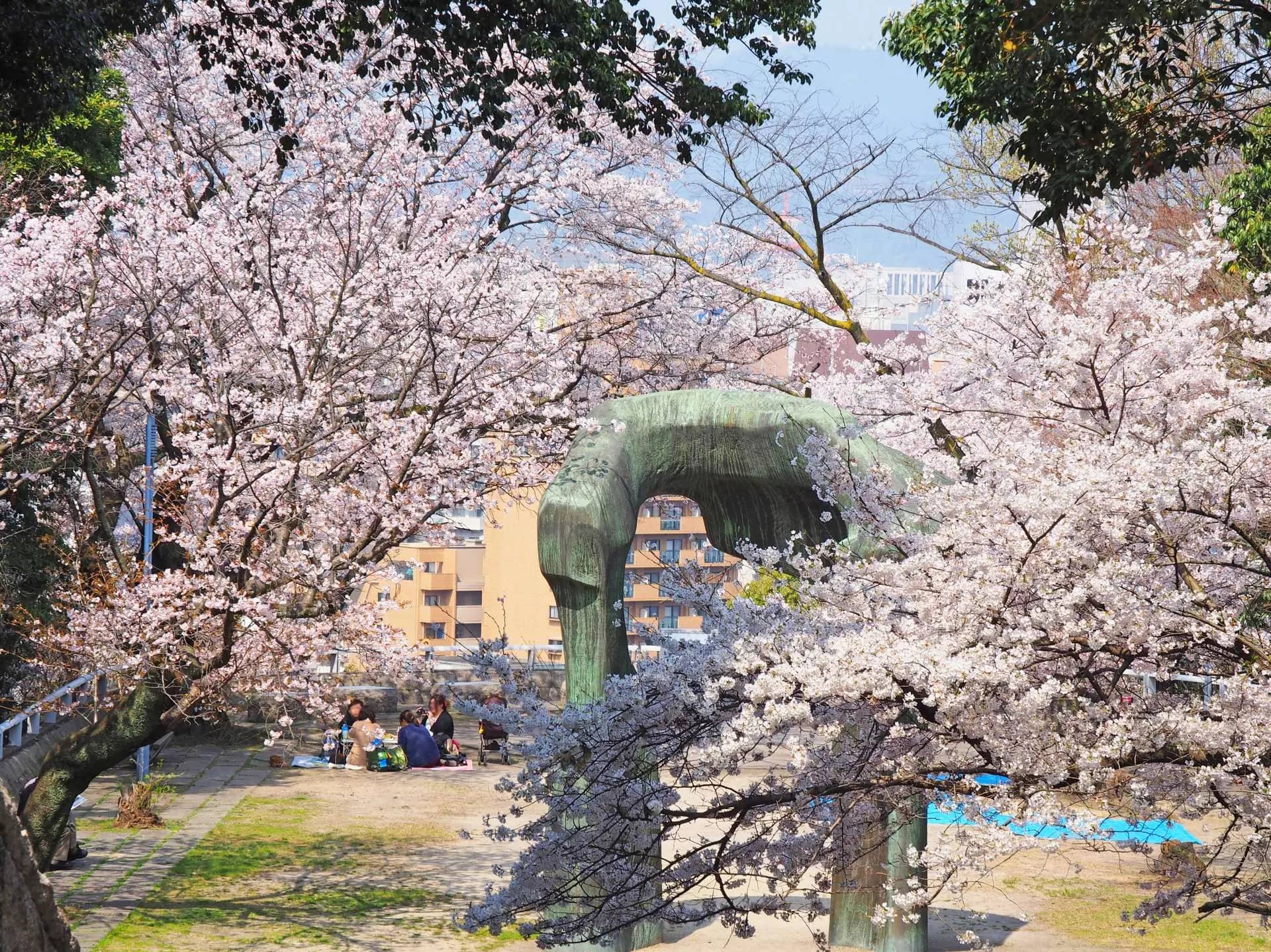 Seasonal Cherry Blossoms