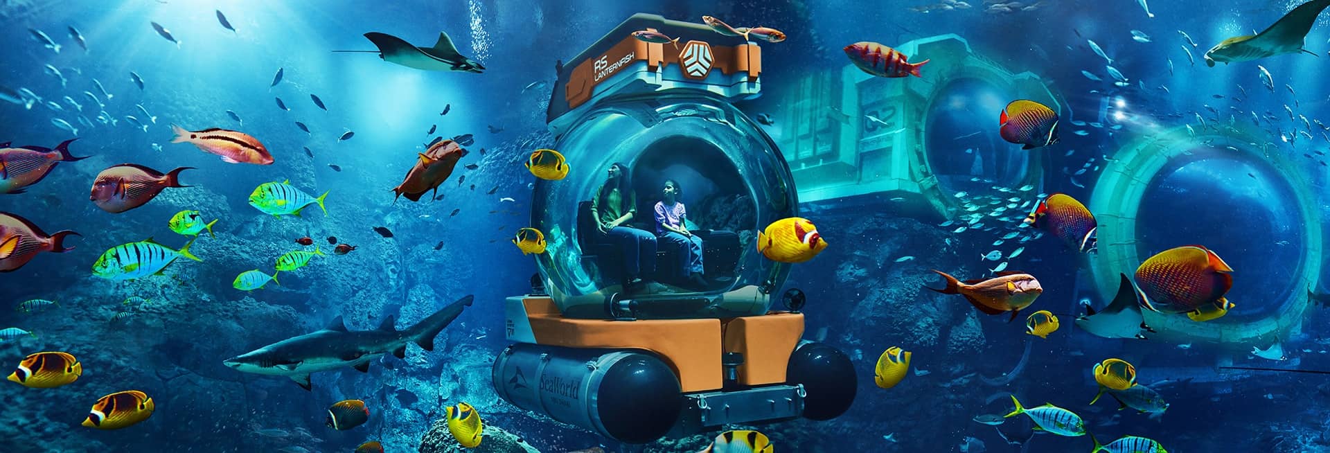 Submersible Experience