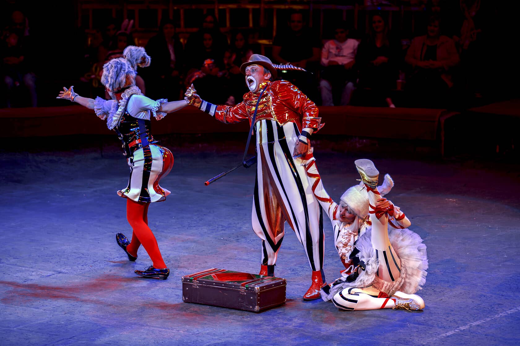 Clown Comedy