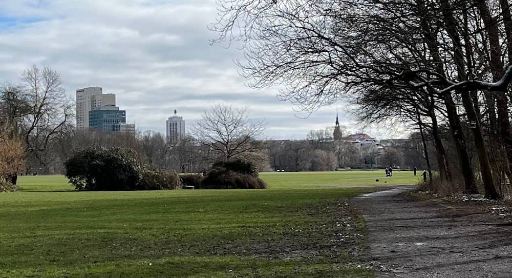 Dog Park Area