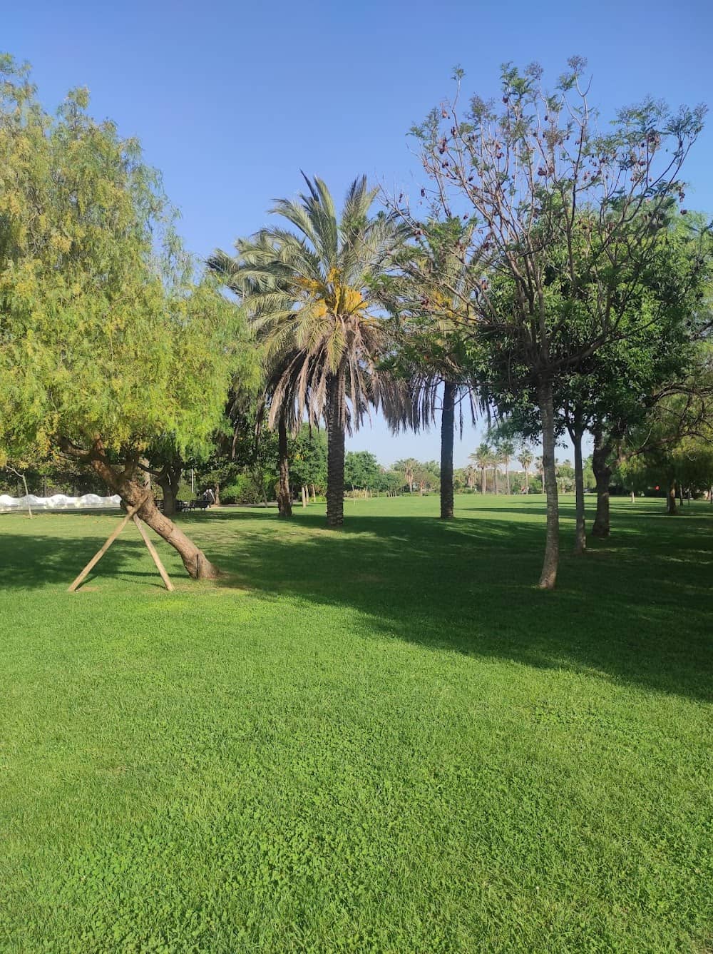 Abundant Green Spaces