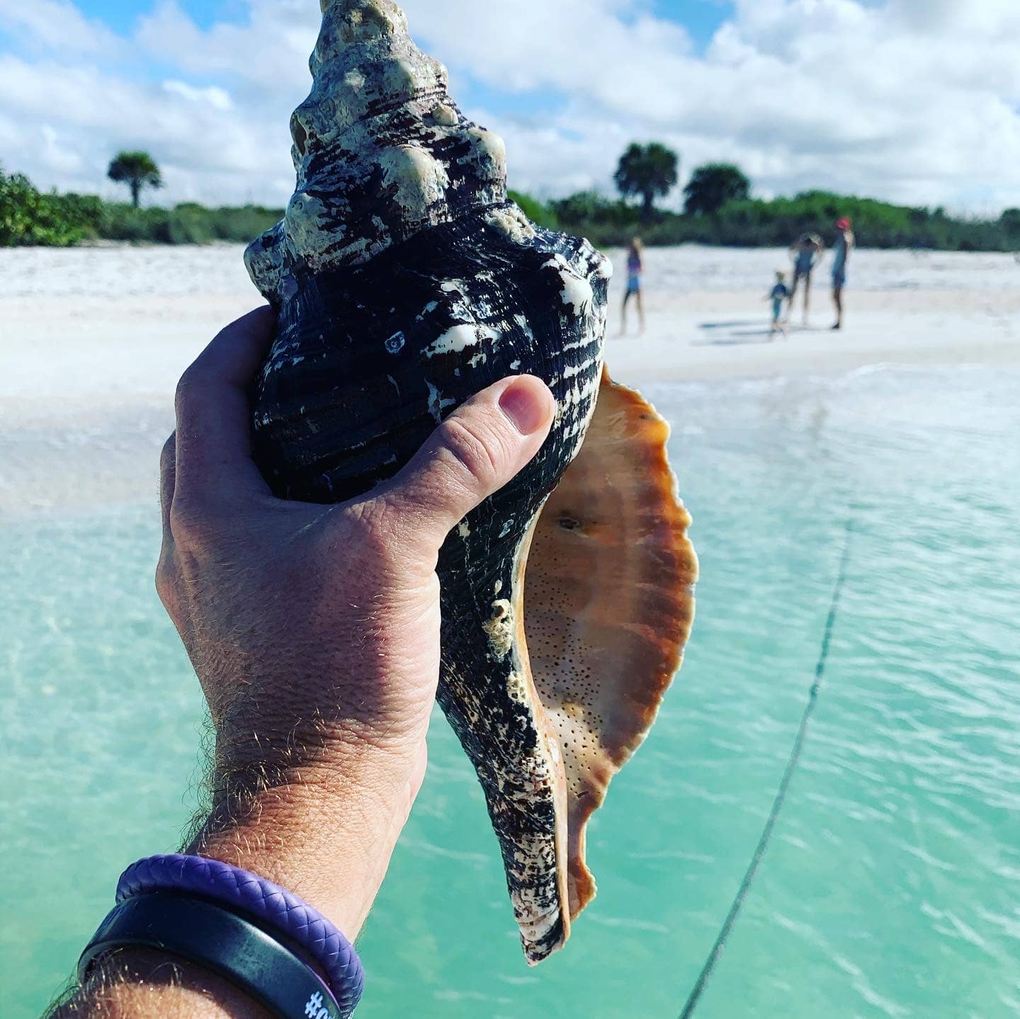 Gasparilla Island Beach