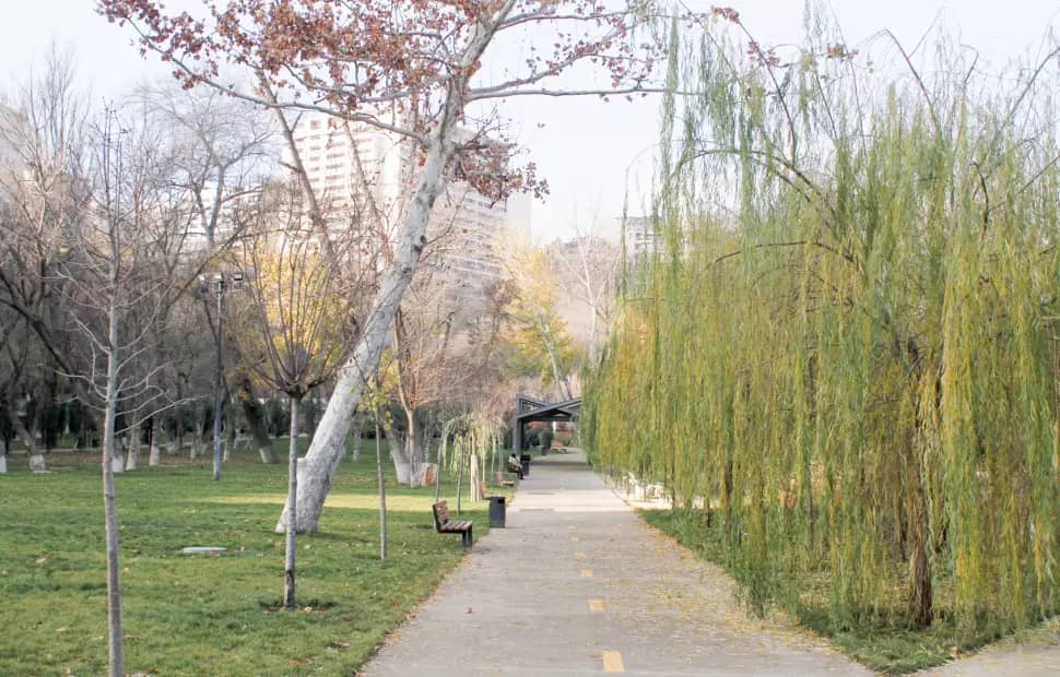 Scenic Walking Paths