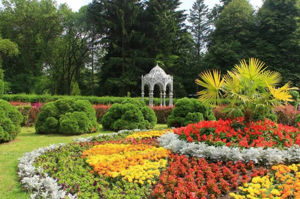 Rose Garden