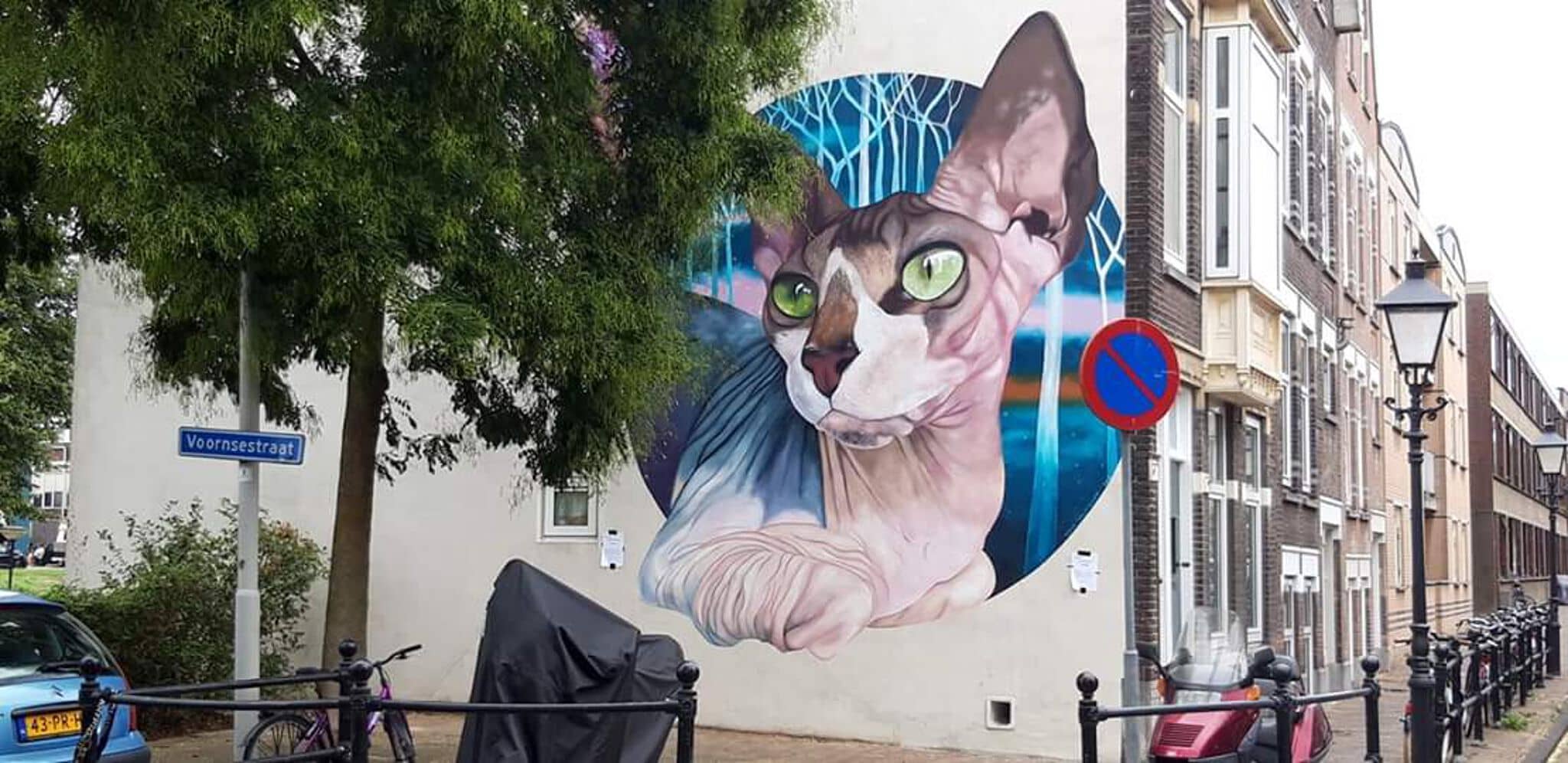 Street Art Discoveries
