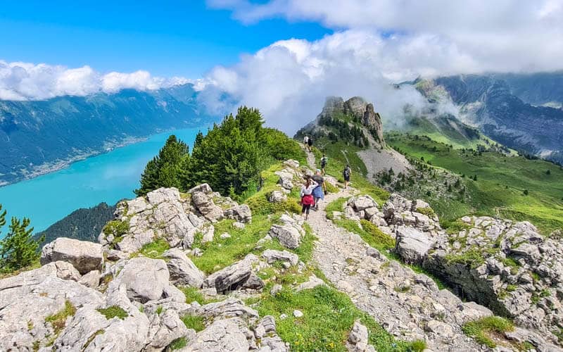 Alpine Hiking Trails