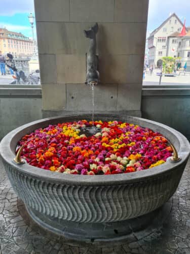 Rose Fountains (Seasonal)