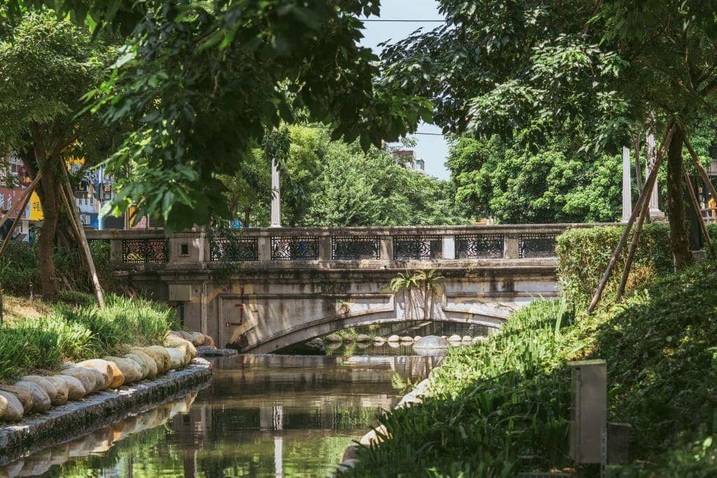 Lush Greenery and Water Features