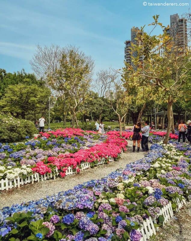 Seasonal Blooms