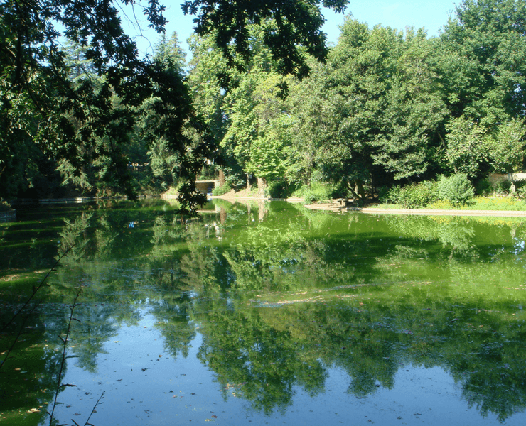 Lush Green Spaces