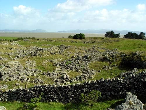 Volcanic Landscape & Lava Field