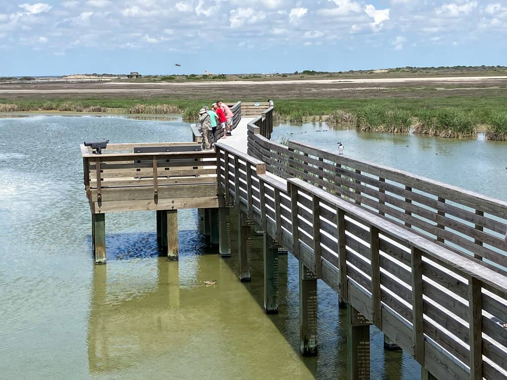 Wetland Boardwalks