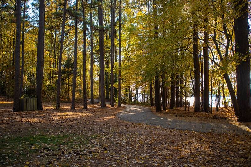 Paved Walking Trails