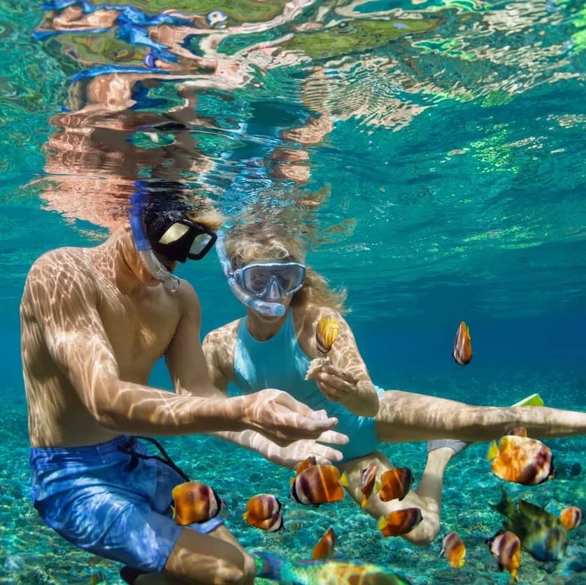 Incredible Snorkeling