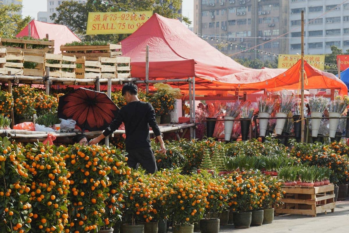 Flower Market