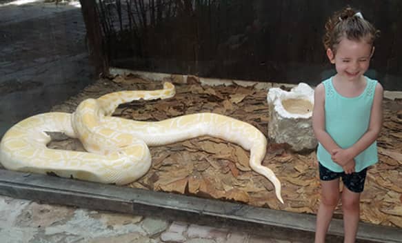 Reptile Encounters