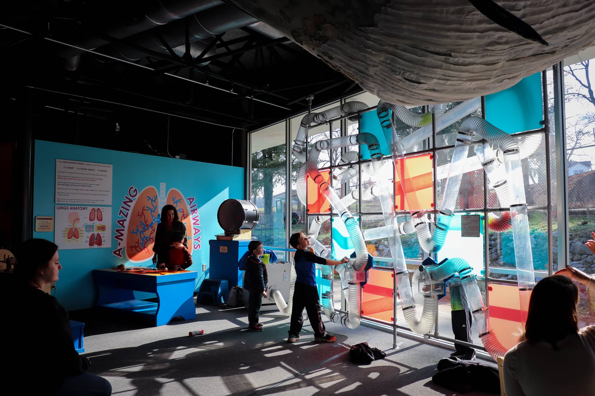 Interactive STEM Exhibits