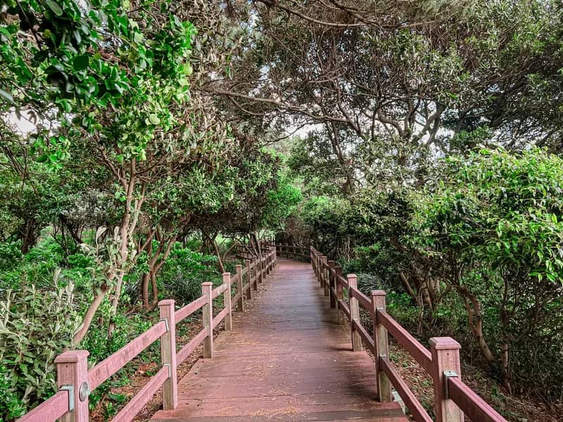 Tranquil Nature Walk