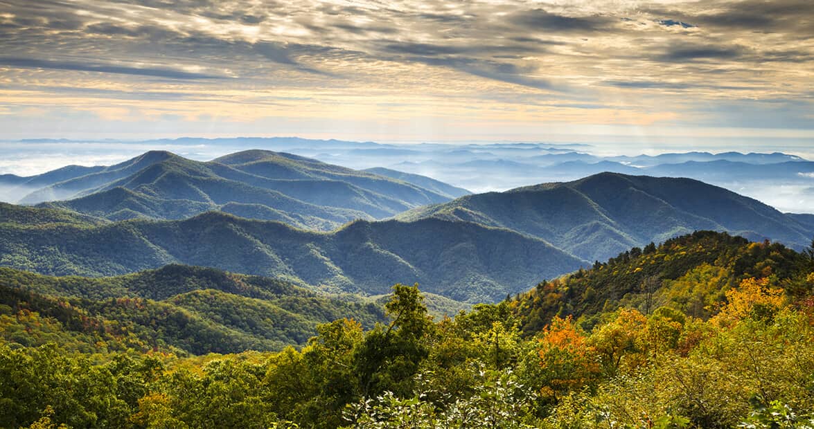 Scenic Hiking Trails