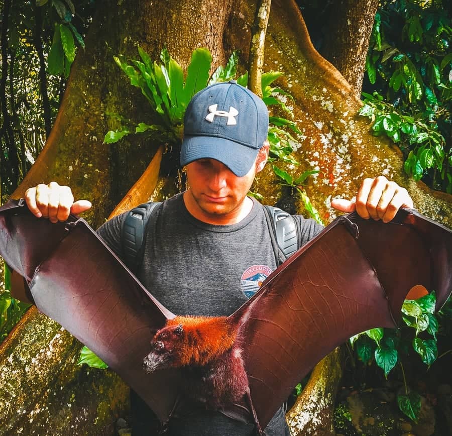 Bat Encounters