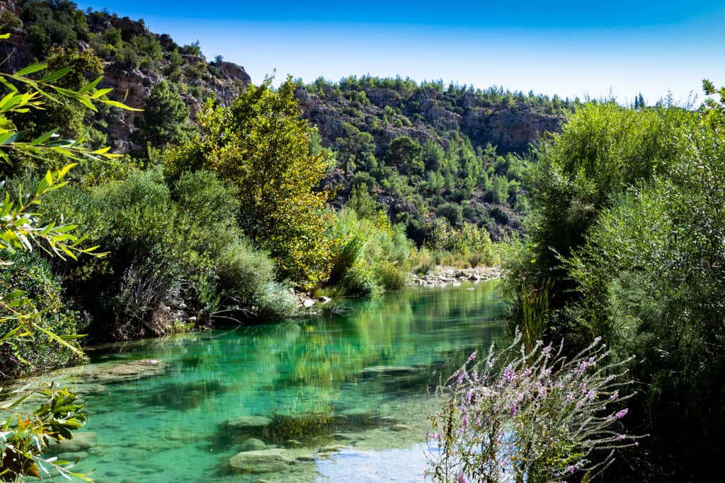 Camping Opportunities