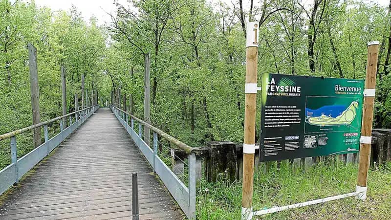 Nature Reserve Feel