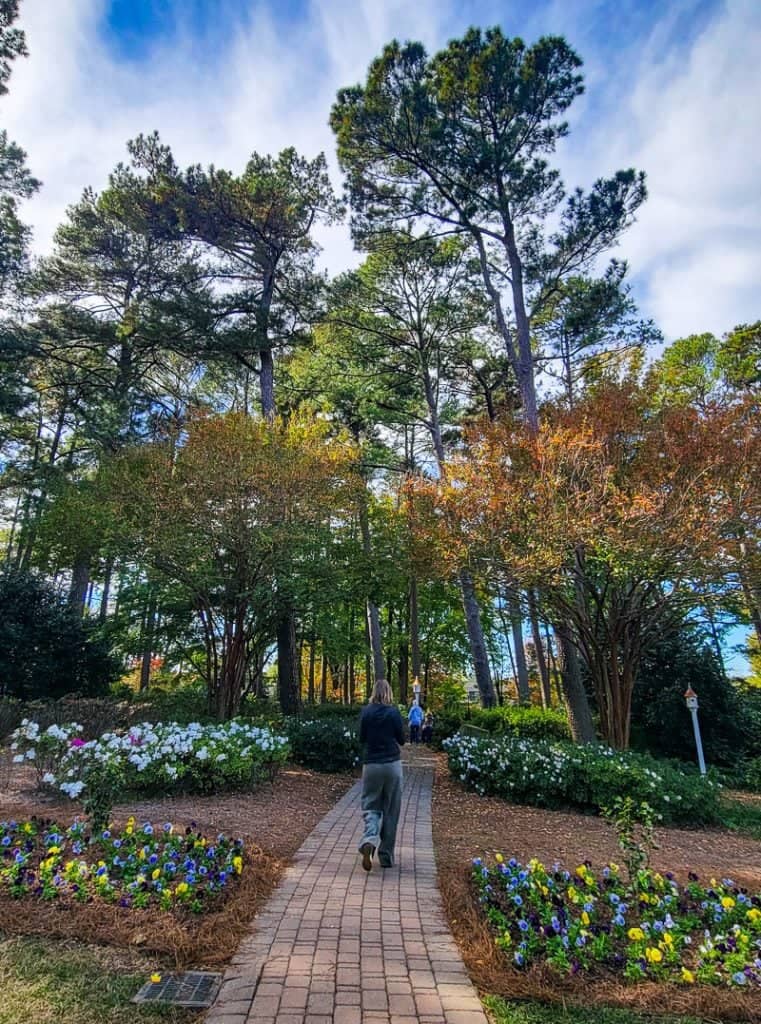 Peaceful Walking Paths