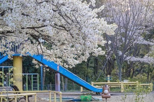 Kid-Friendly Playground