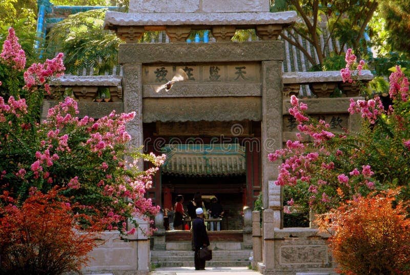 Tranquil Courtyards
