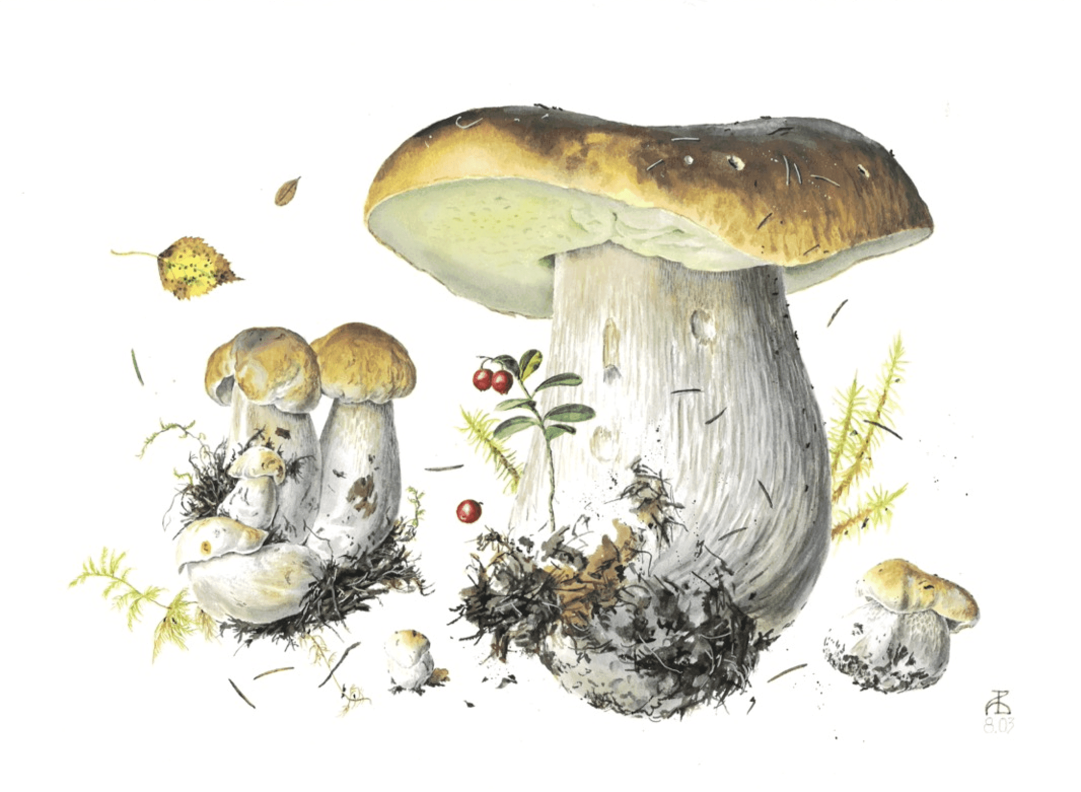 Unique Watercolor Exhibition