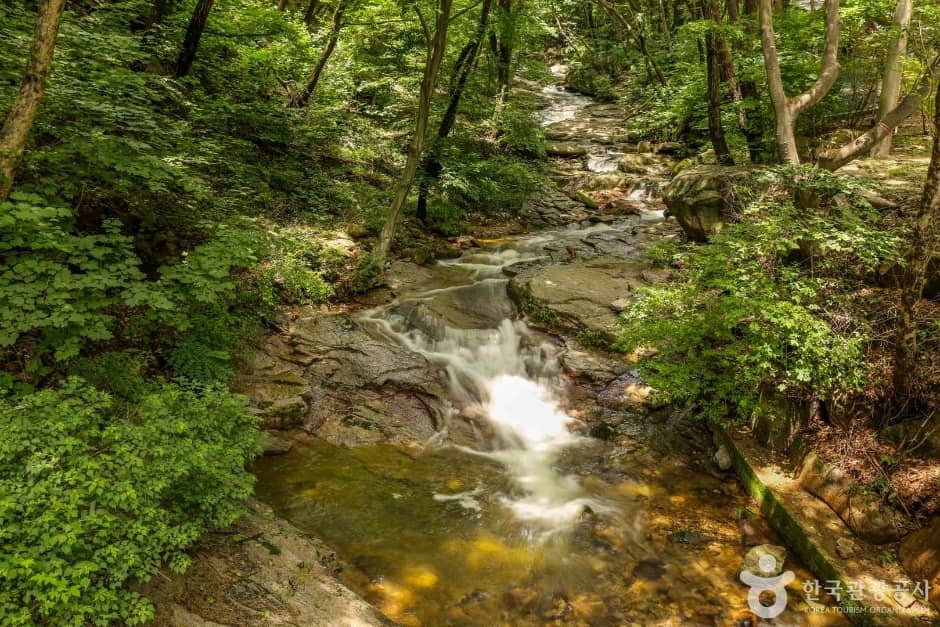Cascading Waterfall & Stream