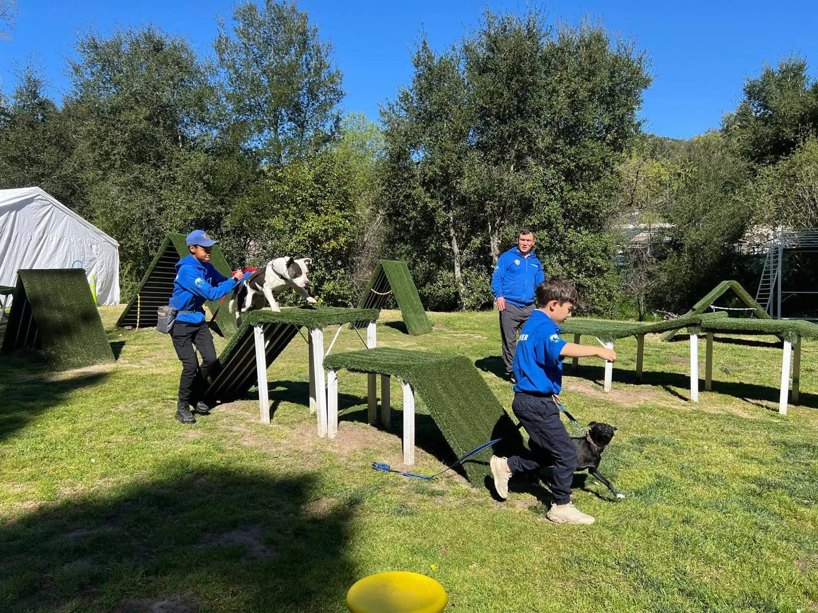 Dog Parks
