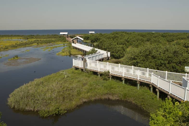 Birdwatching Hotspots