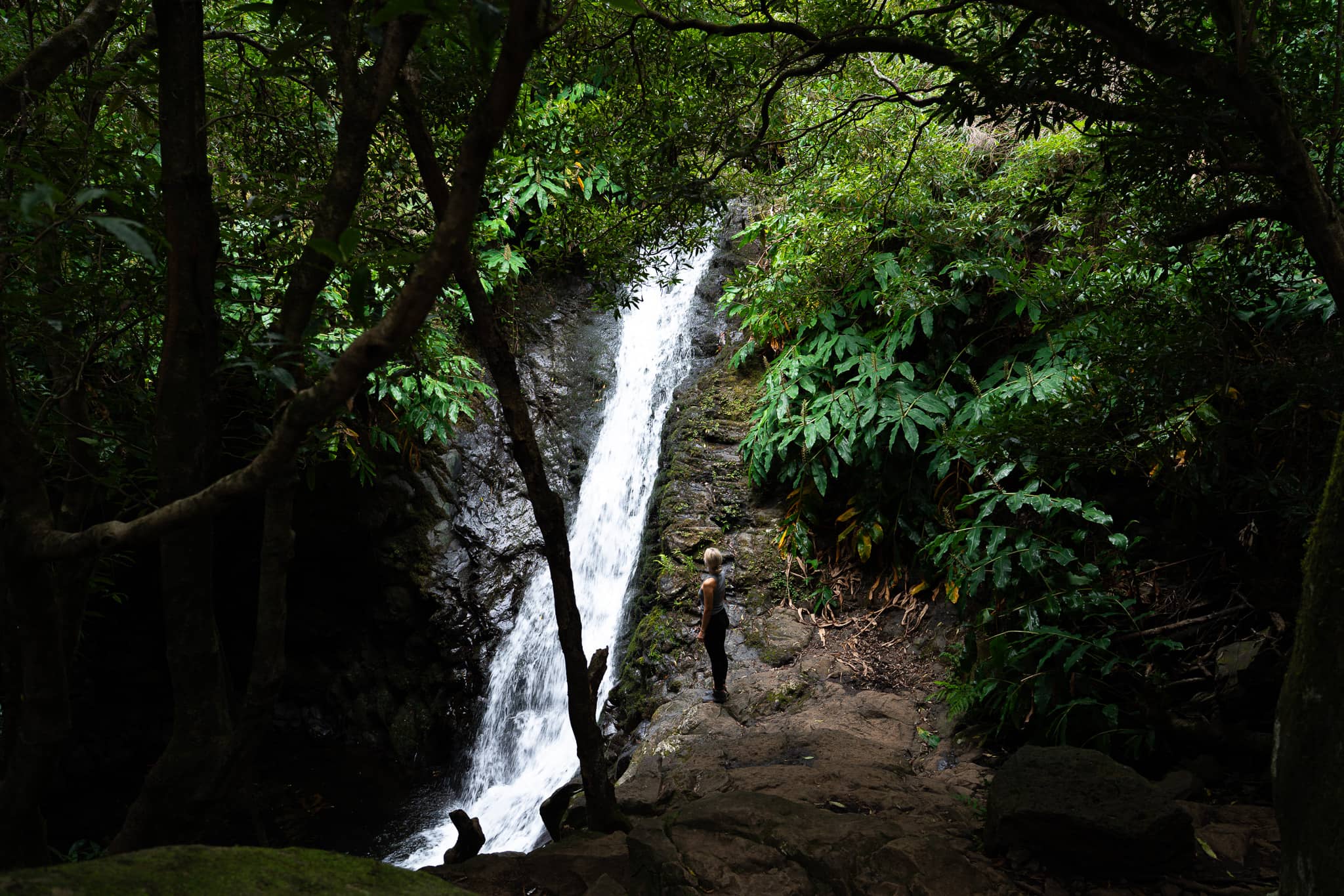 Atmosphere of Peace and Tranquility