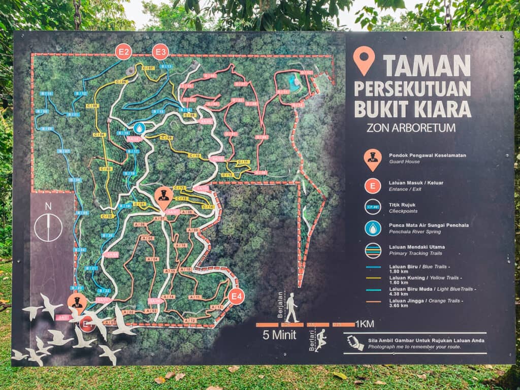 The Jungle Trails