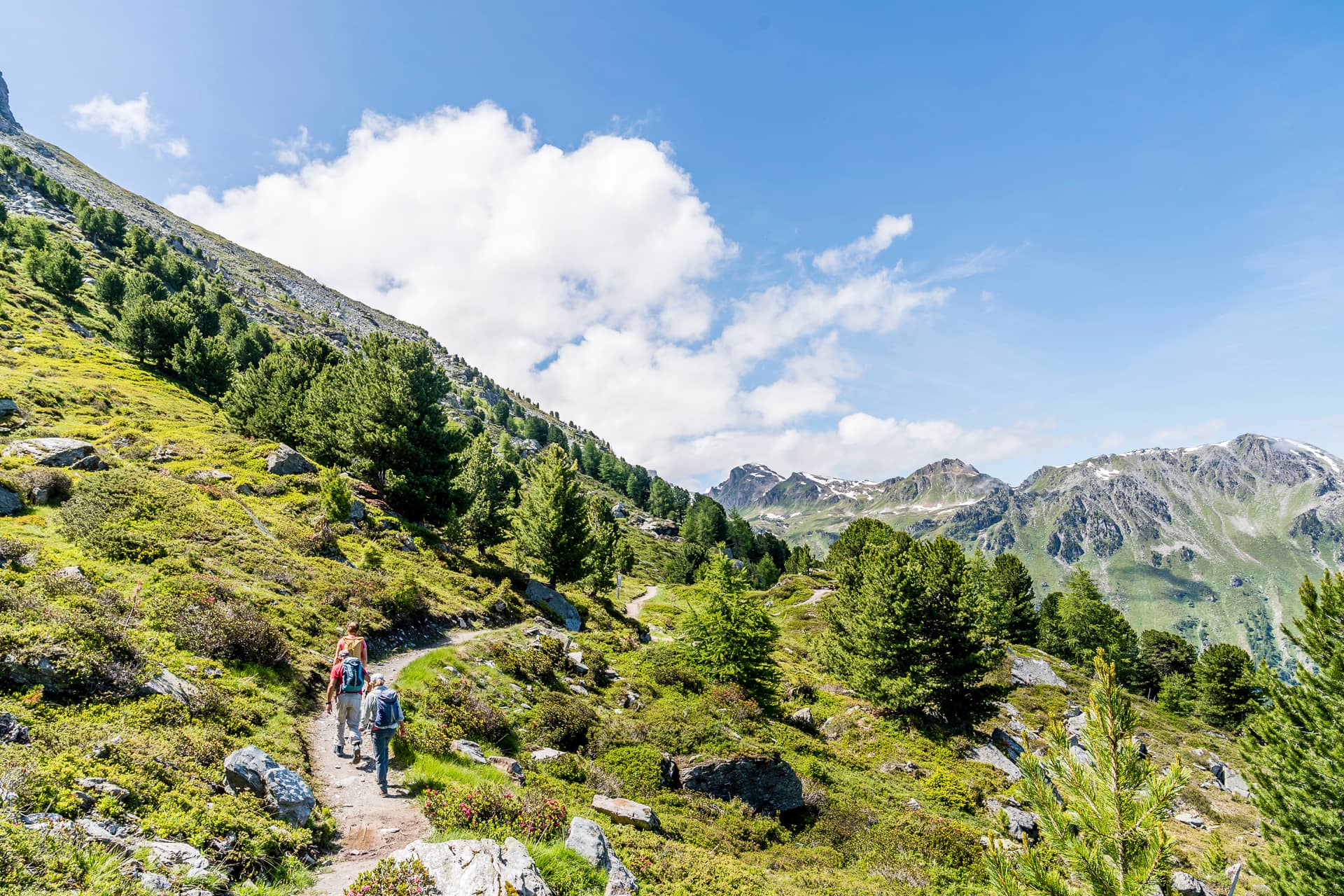 Vallon de Réchy