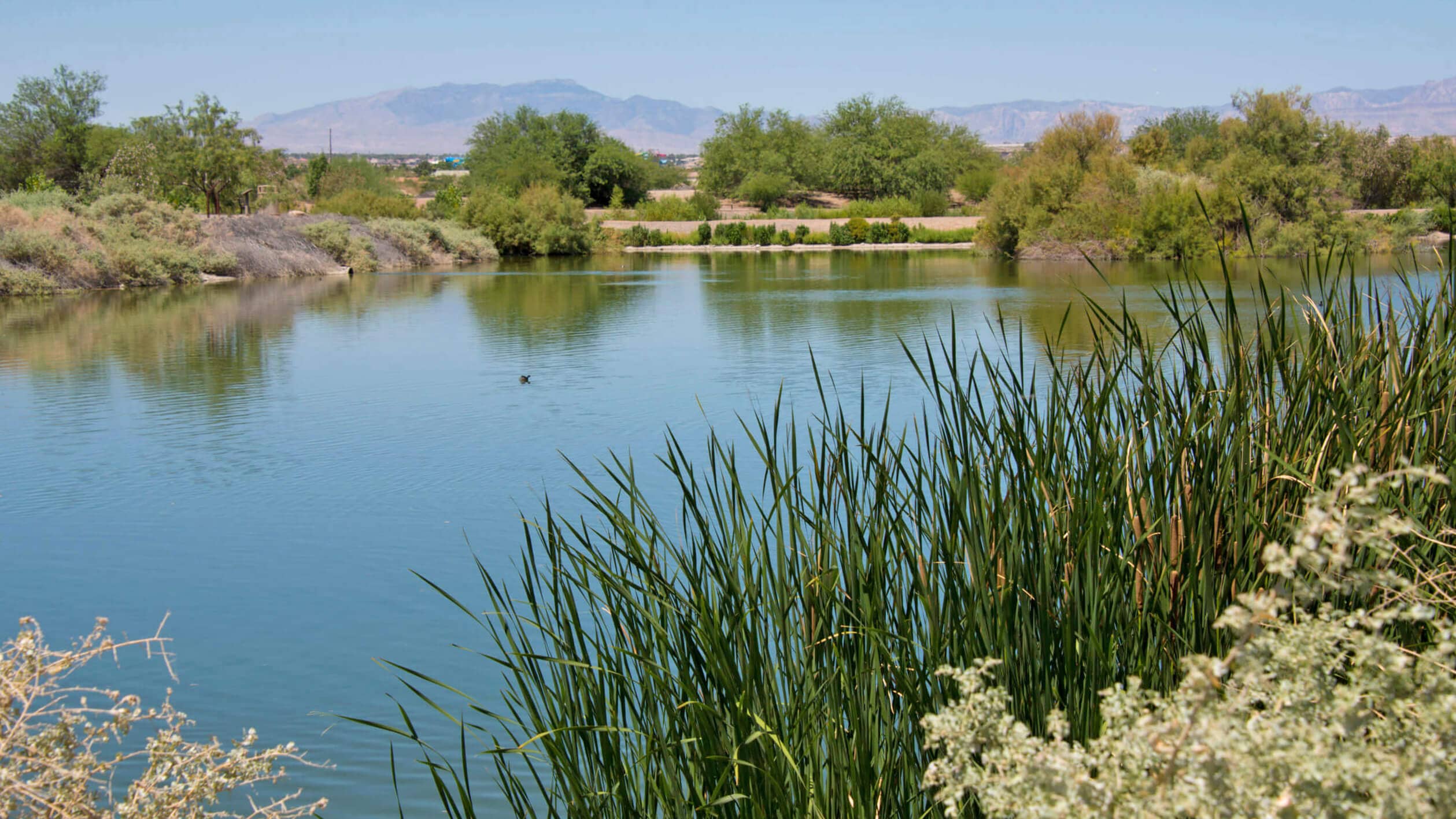 Pond Overlooks