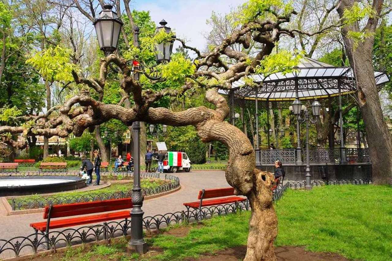 Children's Play Areas