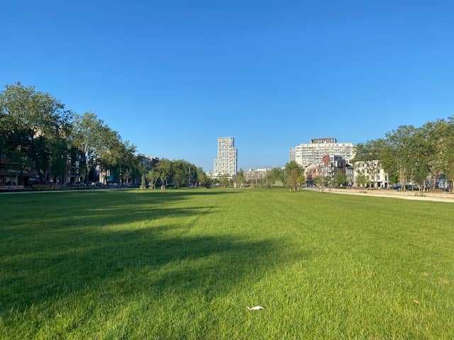 Dedicated Dog Play Area