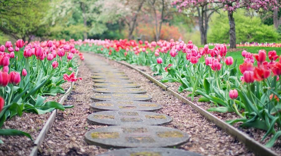 Landscaped Paths