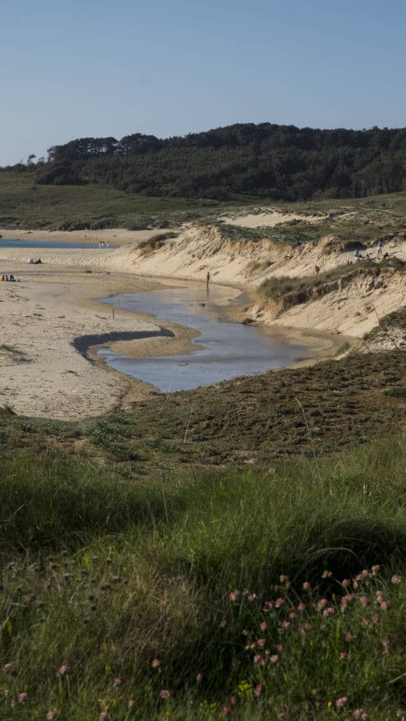 Fragile Dune Ecosystem