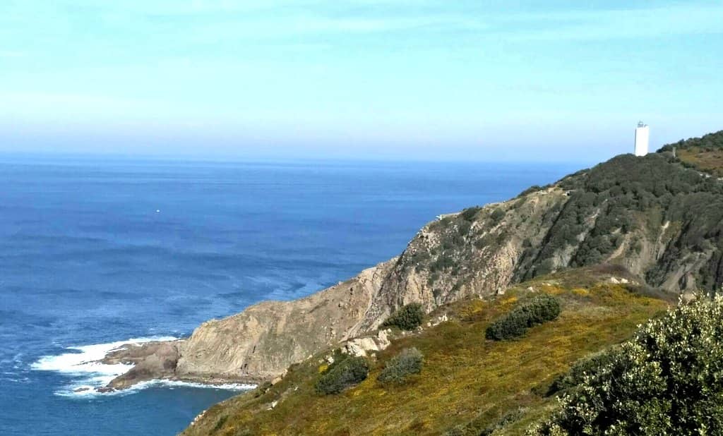 Panoramic Ocean Vistas