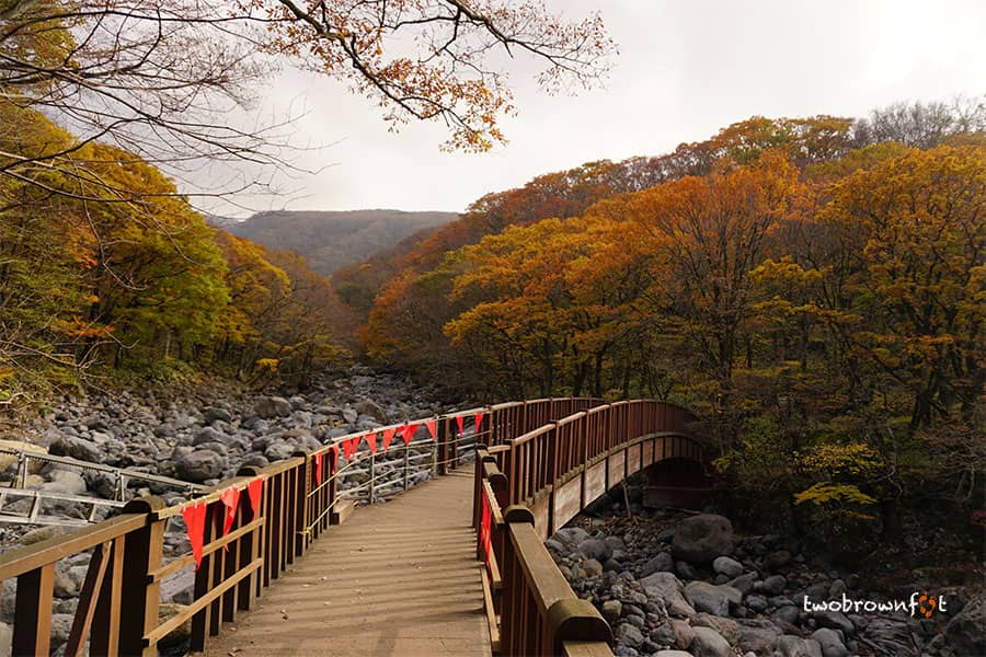 Scenic Rest Area