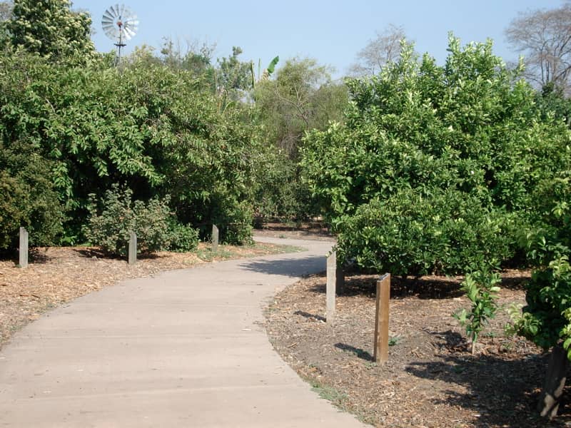 Orchards and Gardens