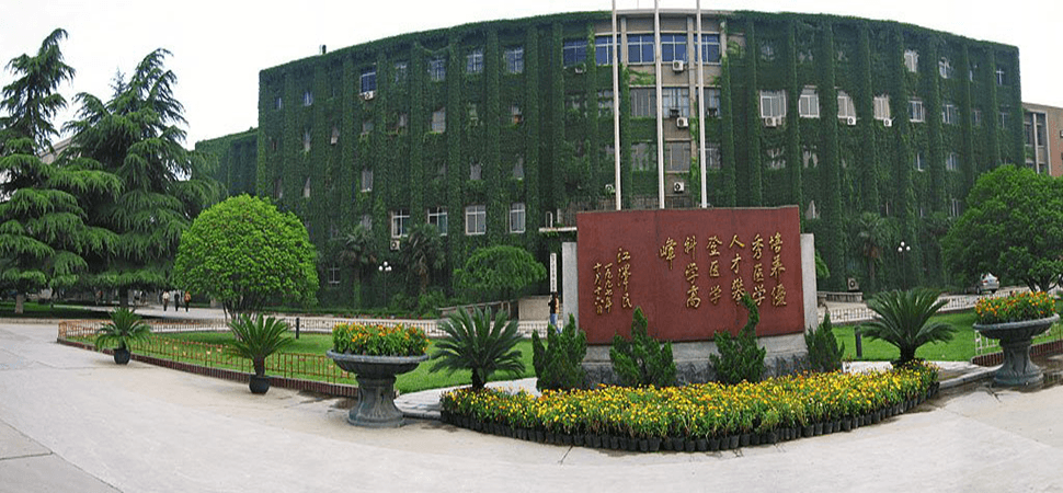 Green Spaces and Gardens