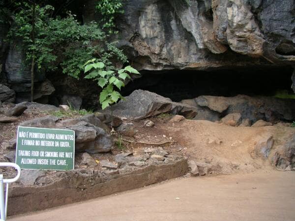 Well-Maintained Walkways