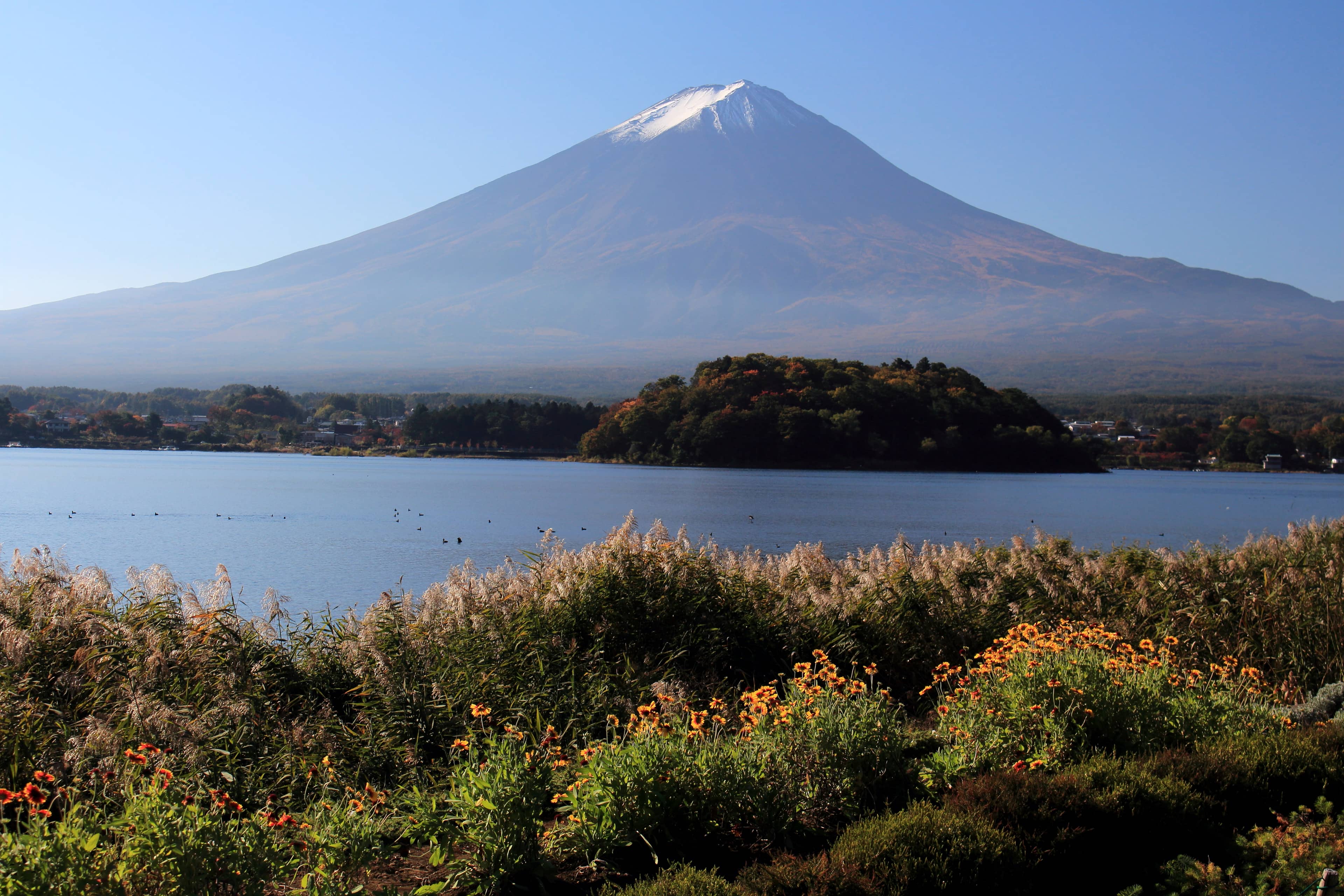 Oishi Park