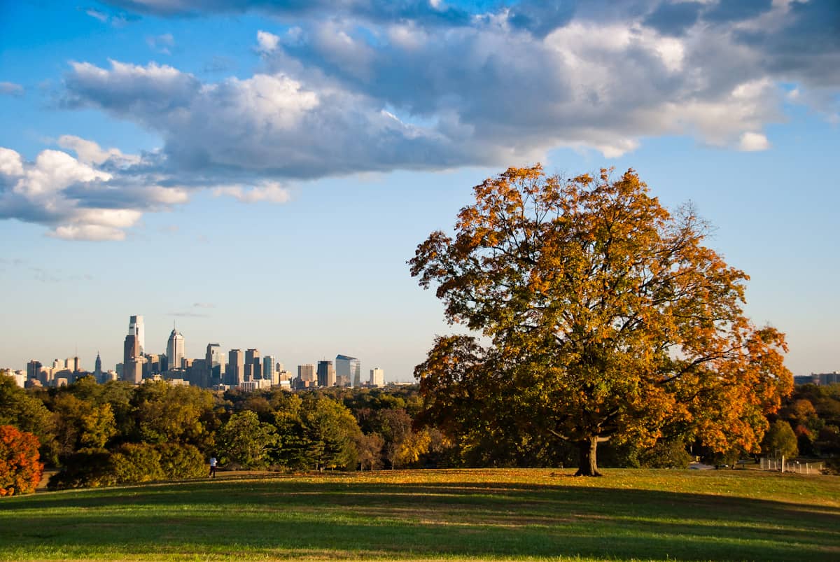Fairmount Park Green Space