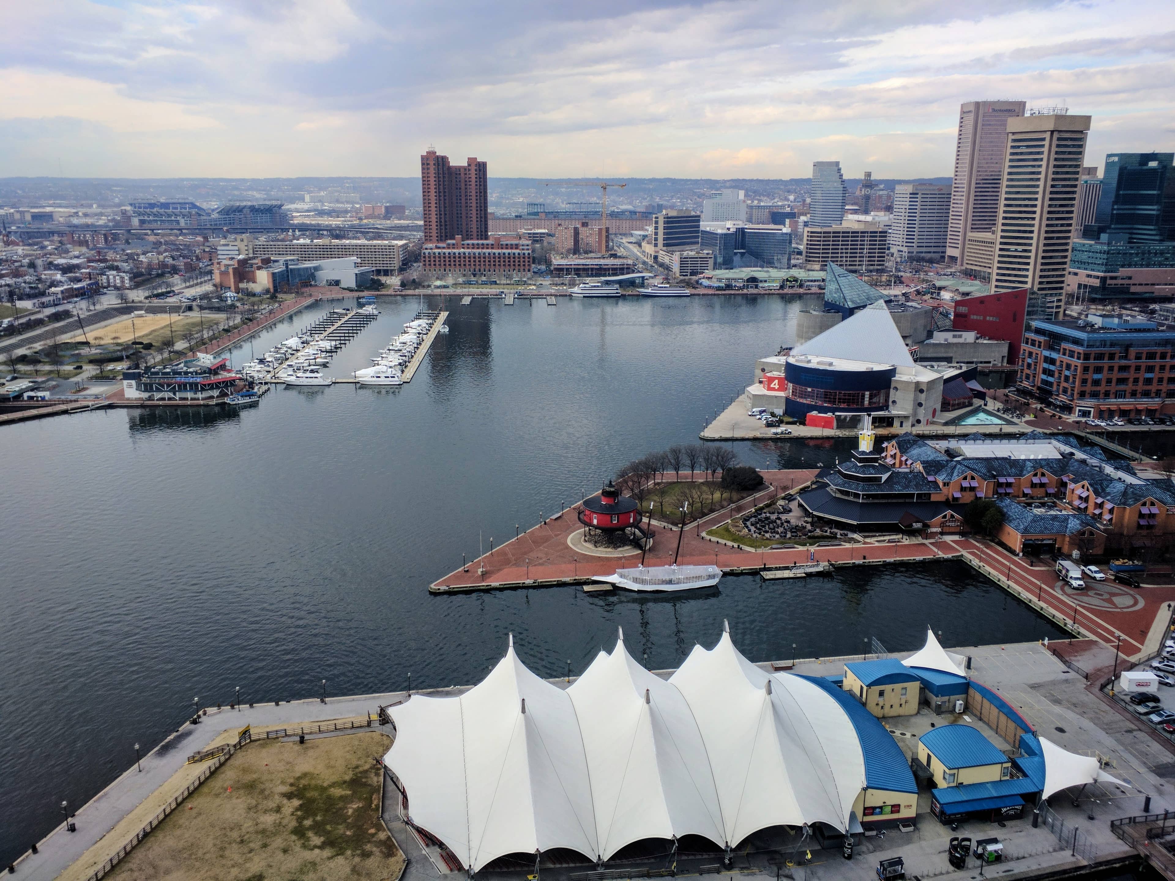 Waterfront Ambiance