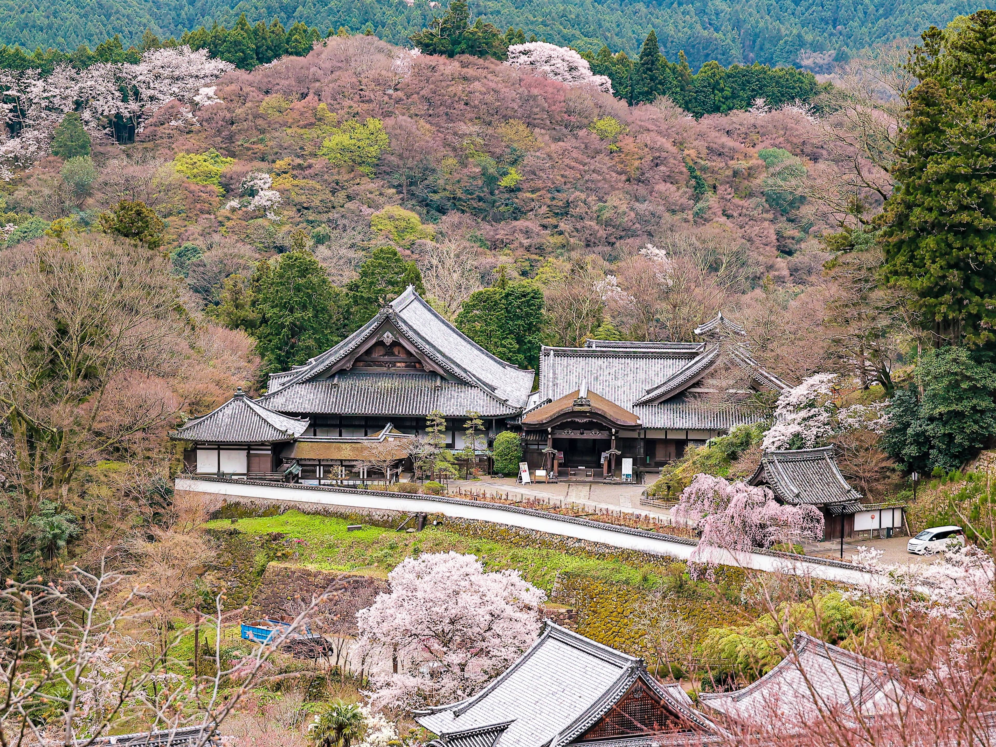 Valley Views and Gardens
